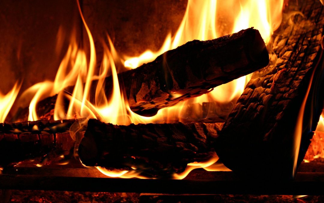 How To Prepare Your Kindling for Winter
