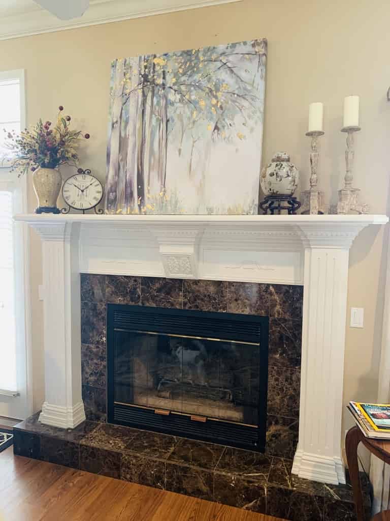 Fireplace Doctor Warner Robins Fireplace Inspection