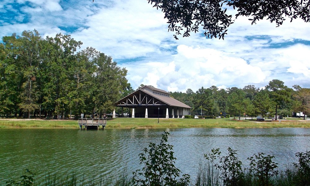 Chimney Sweep Pooler Georgia